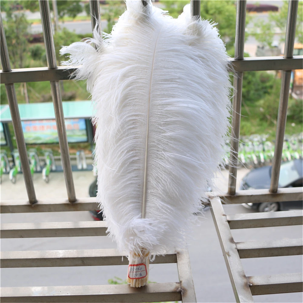 

10PCS ostrich feather soft and fluffy wedding decoration party plumage decorative Celebration White 24-26inch/60-65cm