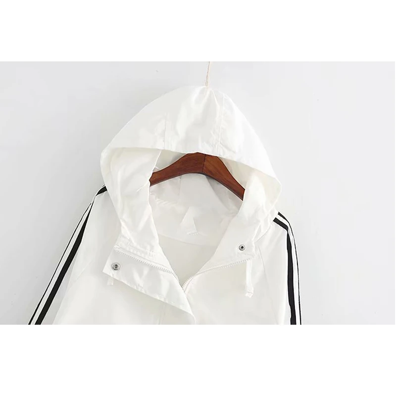 

Vogue Streetwear Trench Coat Women Nice Autumn Plus Size 2XL-7XL Woman Classic Double Breasted Trench Coat