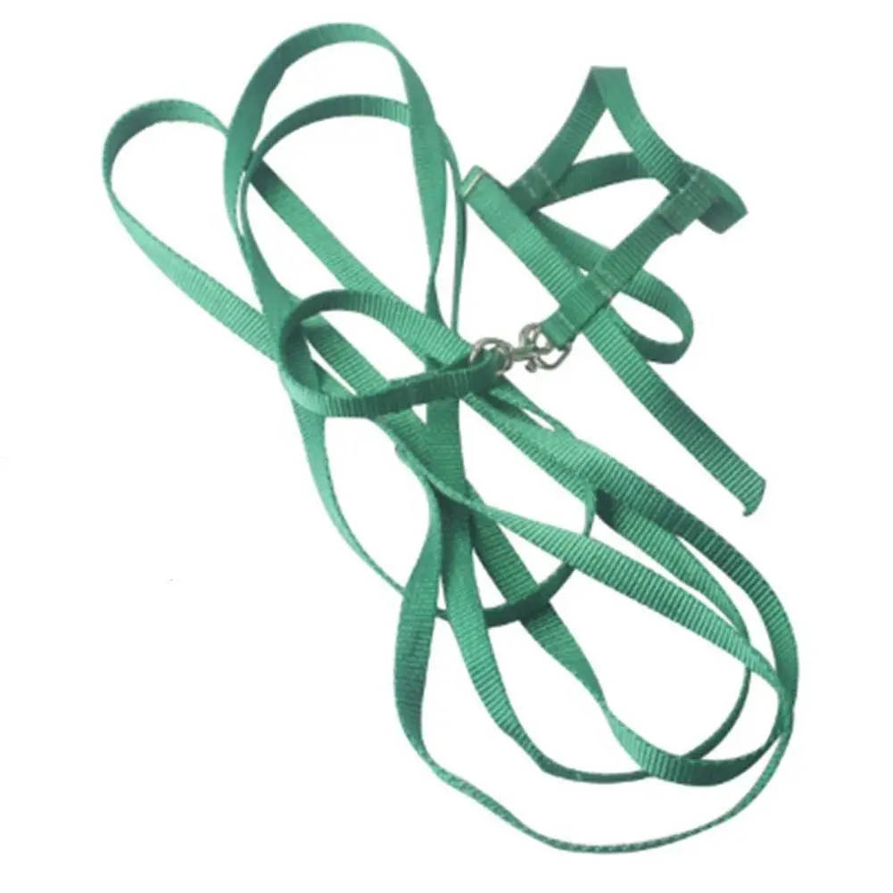 Adeeing поводок для питомца попугай улицы Регулируемая шлейка птицы Cockatiel случайный