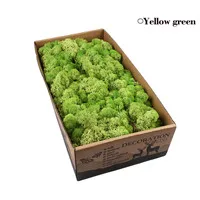 F Yellow green 500 г натуральный олень мох консервированный сушеный цветок Stamen для Сказочный Сад Гирлянда Свадебная вечеринка Декор 24 цвета на выбор - Цвет: F Yellow green