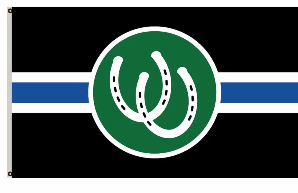 Пони Гордость Флаг пони гордость полиэстер большой наружный флаг баннер