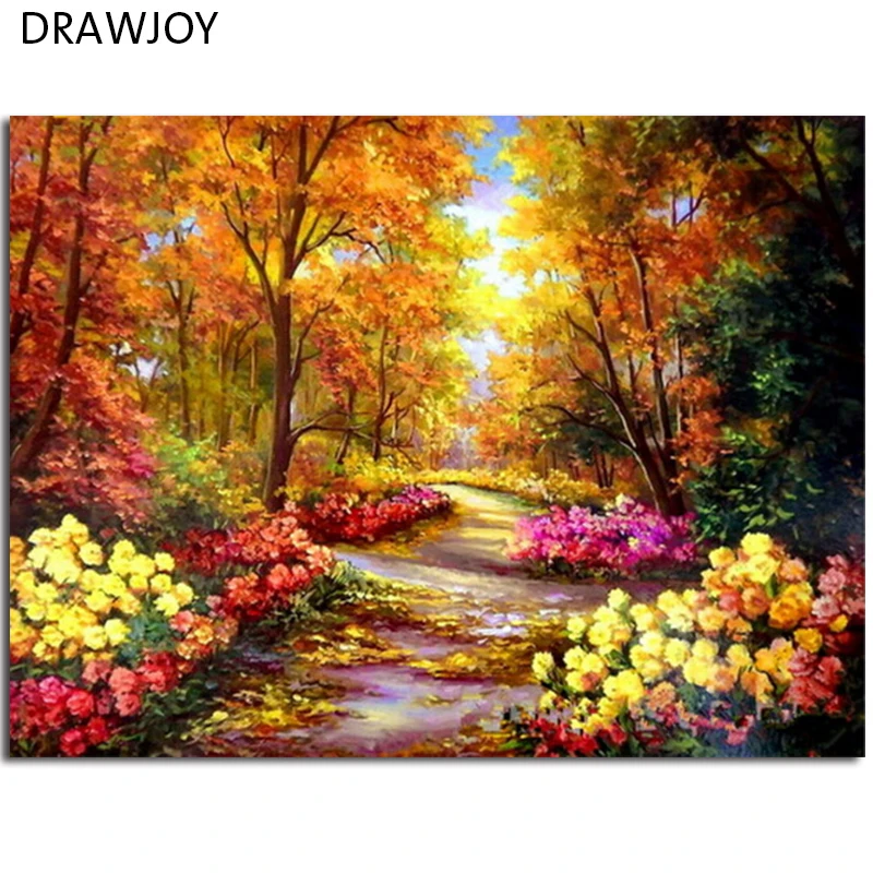 DRAWJOY обрамленные картины живопись и каллиграфия Сделай Сам акриловая живопись по номерам Цветок картина стены Искусство домашний декор GX9288