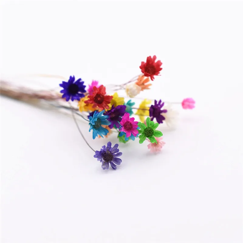 mixed color 30 шт. милая маленькая Маргаритка Натуральные сушеные цветы декоративные изделия стеклянный глобус наполнитель для силиконовой формы ювелирных изделий diy - Цвет: mixed color