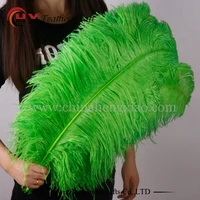 wholesale 10pcslot 15 75cm colored green large ostrich feathers bulk for wedding decorations