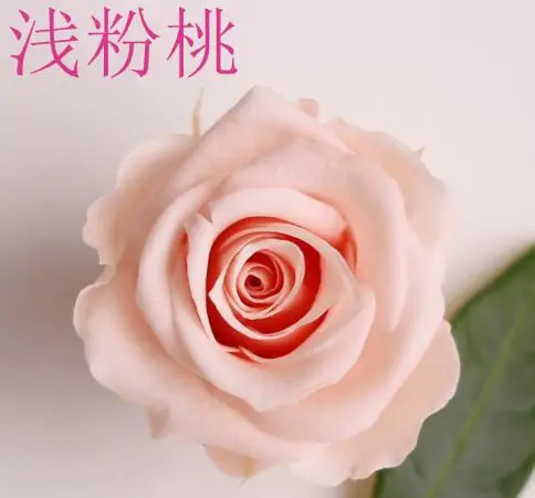 8 шт./кор. Black Rose цветок Товары для праздников и вечеринок бессмертный розы