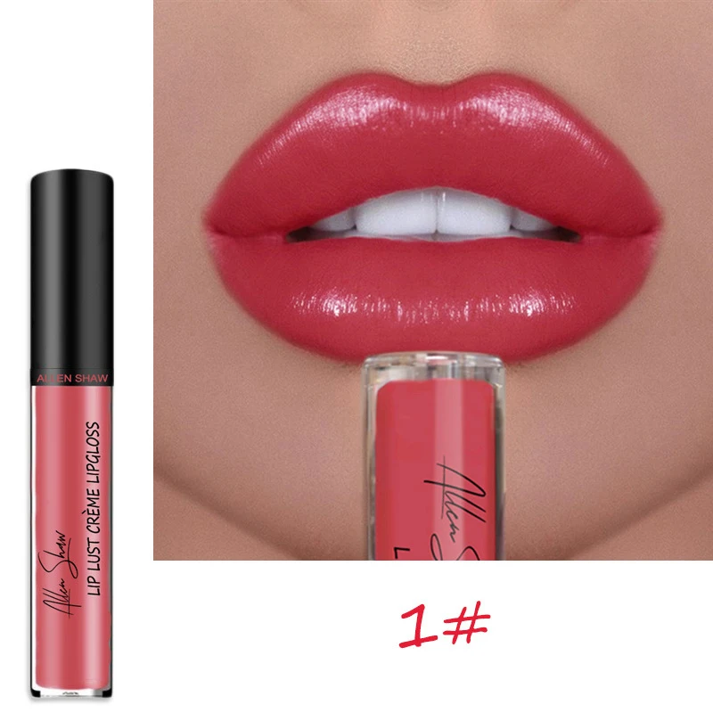 Allen Shaw Glitter Lip Gloss Lipstick Waterproof Lasting Moisturizing Glaze Matte Liquid Women Makeup TSLM1  Красота и