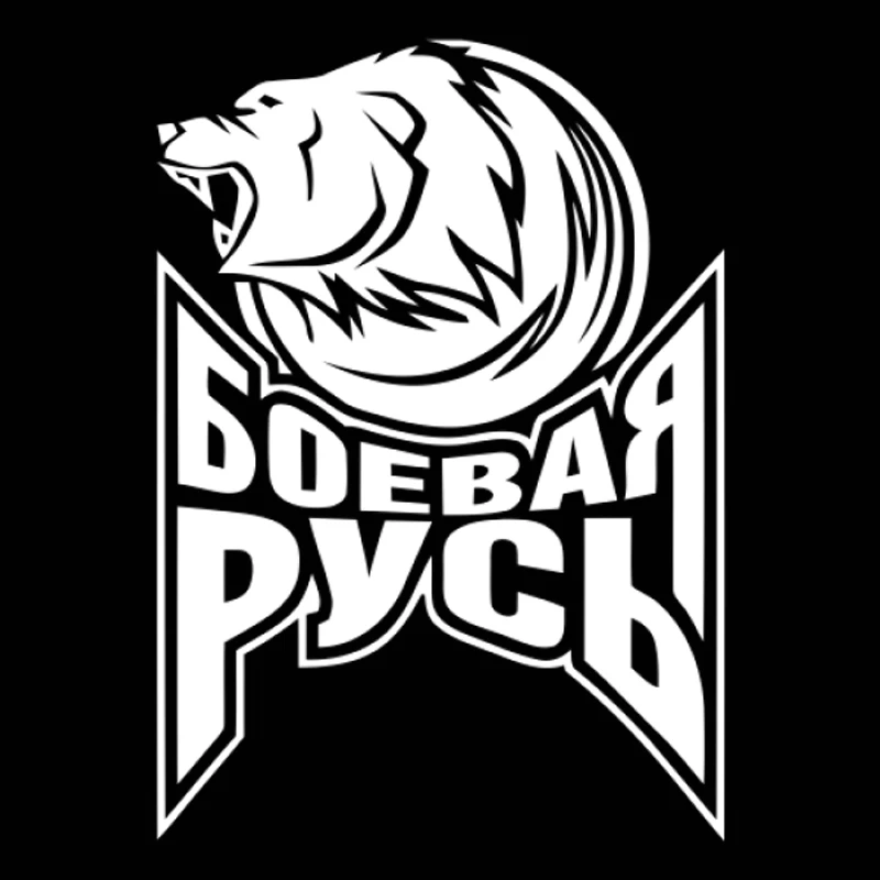 30*21 см битва Россия волк б автомобиля Стикеры наклейка багажник окна заднее