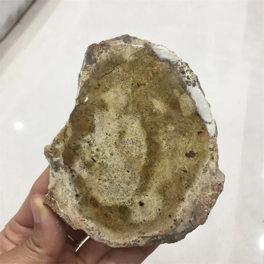 Новое поступление 1 шт. Прямая поставка натуральная древесина каменный кусочек