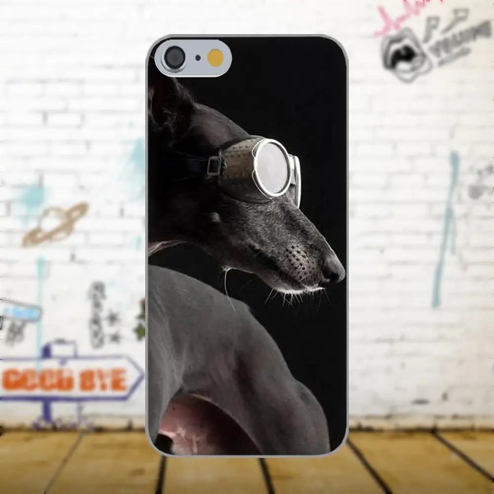 Oedmeb Galgo Greyhound Dog для Apple iPhone X 4 4S 5 5C 5S SE 6 6S 7 8 Plus LG G3 G4 G5 G6 K4 K7 K8 K10 V10 V20|Бамперы| |