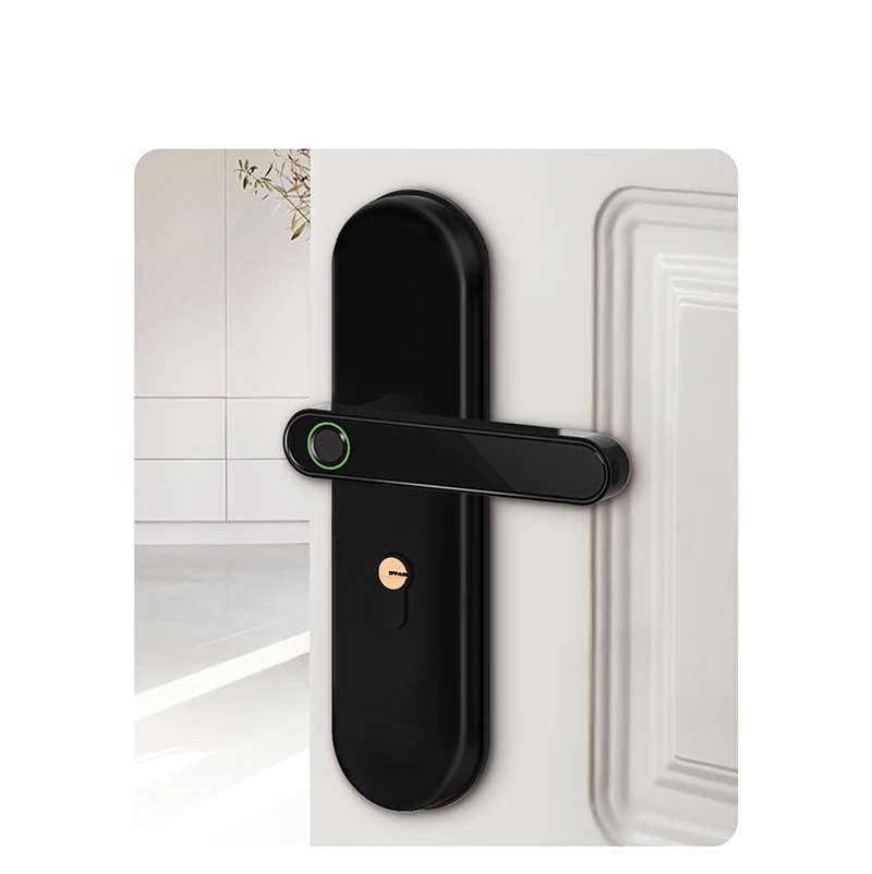 Fingerprint Lock Electric Door Lock with emergency mechanical key for indoor home wooden door