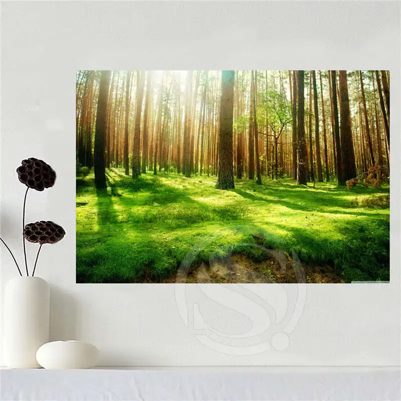

Горячая Распродажа, пользовательский холст, тихий лес, задний плакат, ткань, настенный плакат, печать, отделочная ткань для дома