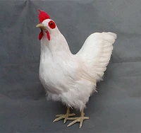 new simulation big cock model plasticfurs real life white chicken doll gift about 42x40cm xf2043
