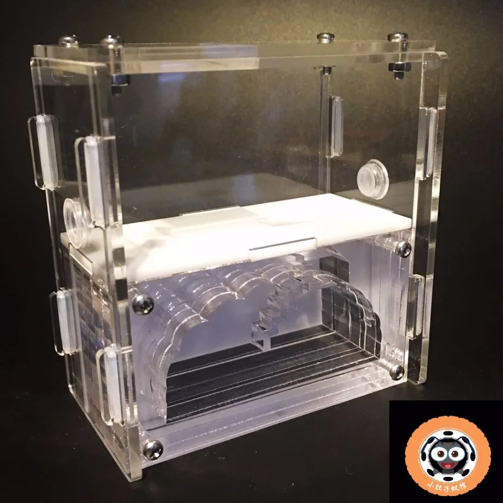 Империя S Муравьиное гнездо двухслойные насекомые клетки детские научные