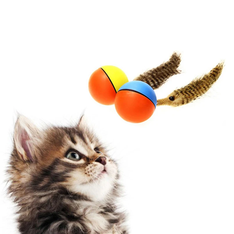 Нутрии электрические игрушки Pet продукты для кошек котенок весело бобра ласка