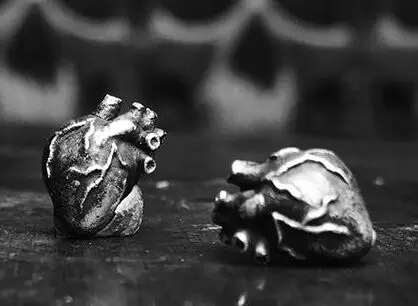 Regalrock анатомические человеческого сердца серьги гвоздики анатомии странности