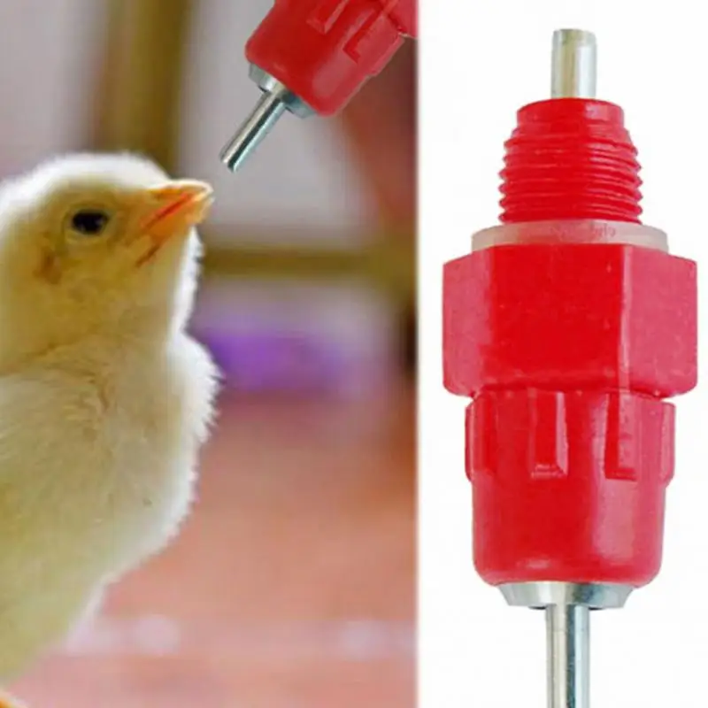 Новое Поколение Автоматических куриных питьевой воды чашки Куриные шарики 25 мм