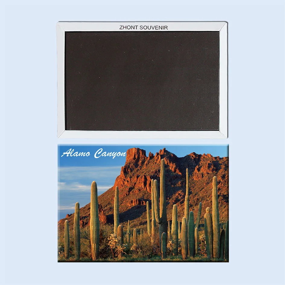 

USA_Alamo_Canyon Organ_Pipe_Cactus_National_Monument_Arizona Fridge Magnets 22054,Quality Souvenirs for Tourist Attraction