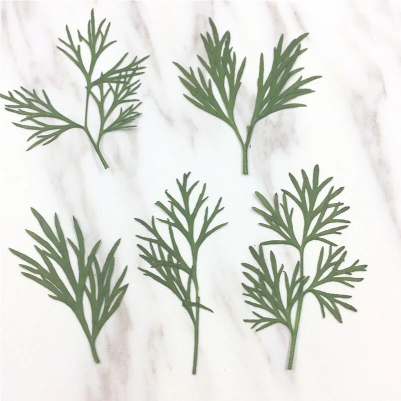 

120pcs Pressed Dried Gaura Lindheimeri Leaf Leaves For Wedding Party Home Pendant Necklace Craft DIY Accessories
