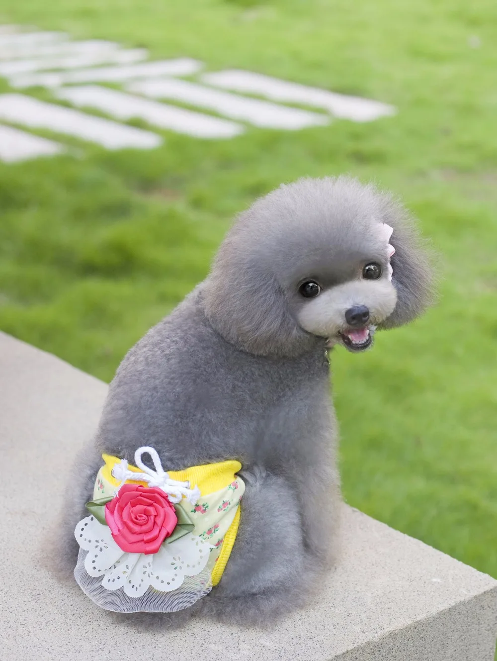 Одежда для собак нижнее белье хлопковые шорты гигиенические физиологические