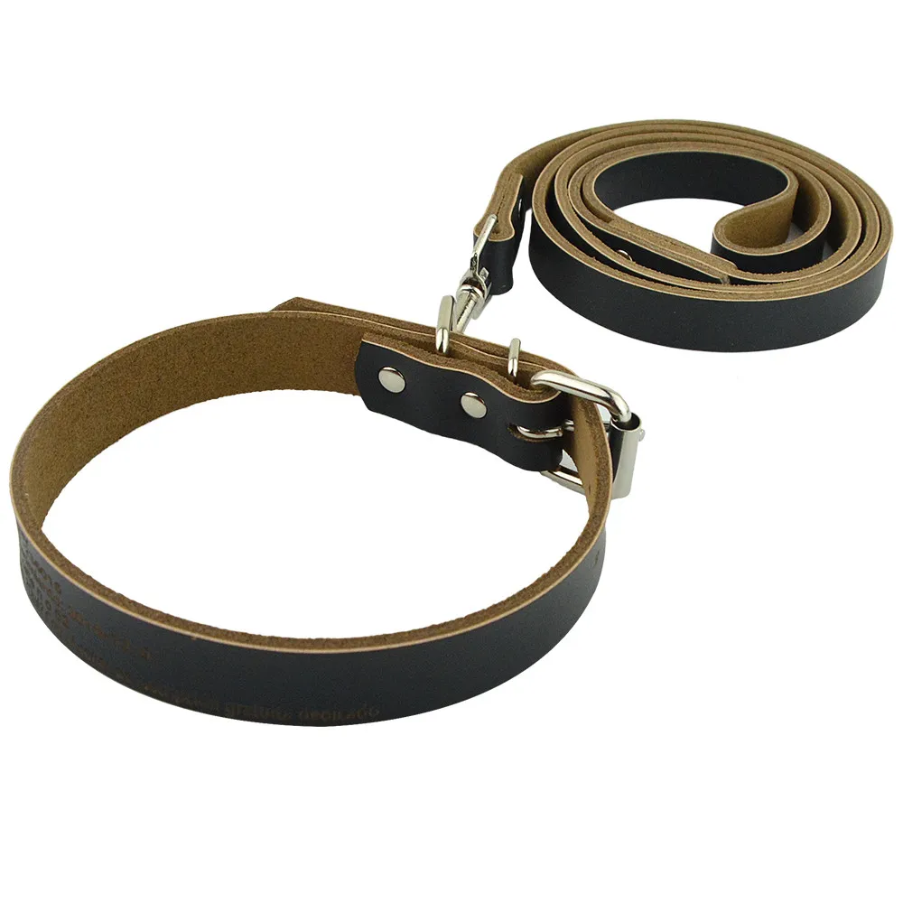 Горячая Распродажа ошейник для собак и кошек индивидуальный воротник гравировка