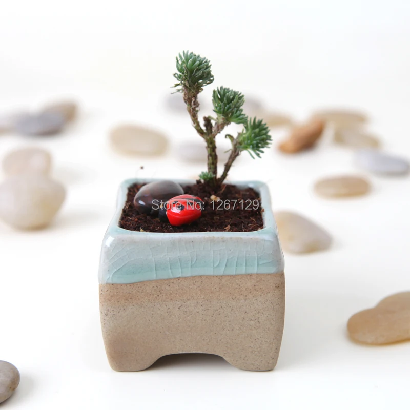 Керамический Горшочек для цветов Jingdezhen настольный контейнер выращивания с