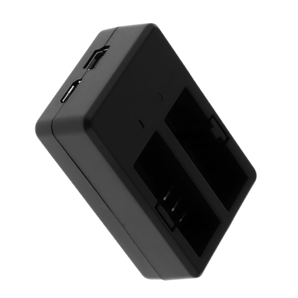 100V-240V 2 Каналы Камера Батарея Зарядное устройство с USB кабелем для спортивной