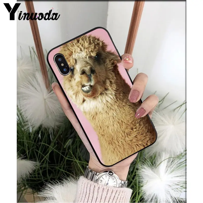 Yinuoda лама Alpacas животное умный чехол черный мягкий чехол для телефона для iPhone X XS MAX 6 6S 7 7plus 8 8Plus 5 5S XR