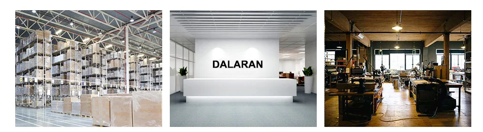 DALARAN, серебро 925 пробы, привлекательный Шарм, Зеленый Кактус, милый ветер, кампус, ветер, светильник, ювелирные изделия для зрелых женщин, серьги