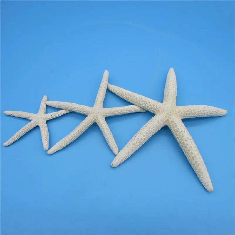 

Happy Kiss 3pcs starfish Finger Sea Star Sea Fish Beach Coastal Ornaments For Home Party Wedding Decoration Craft Gift 6-13cm