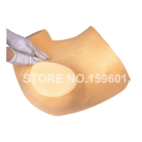 Продвинутый гинеколог модель гинекологического обучения осмотра таза GYN