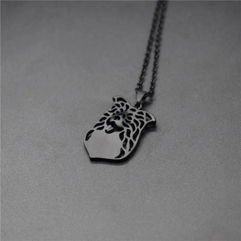 Ожерелье с подвеской "Border Collie" из металла с модным дизайном и пустым краем, 4 цвета, женские украшения.