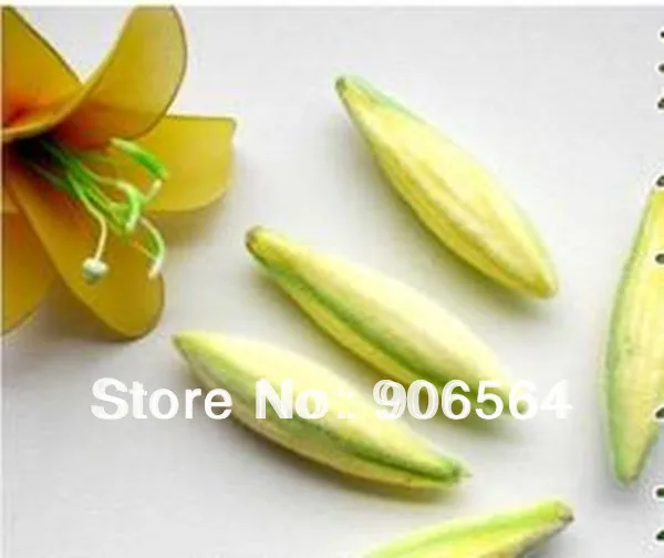 Бесплатная доставка оптовая продажа 60 мм желтые зеленые и розовые бутоны Лилии