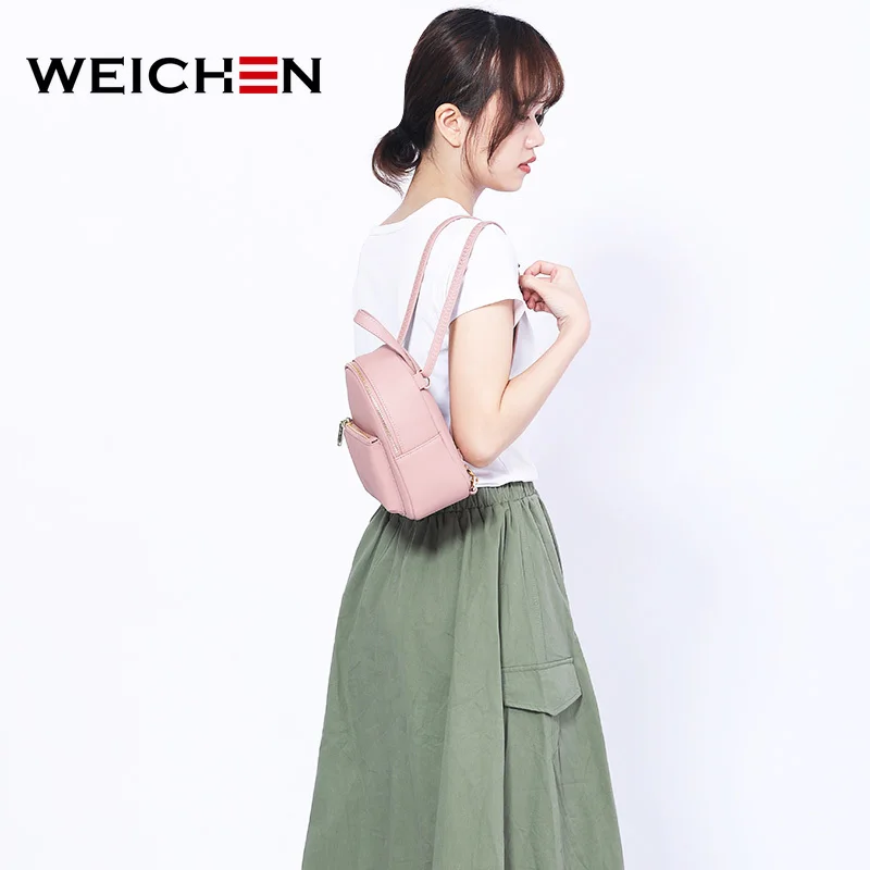 WEICHEN 2019 Новый Дизайнерский Модный женский рюкзак мини мягкий на ощупь
