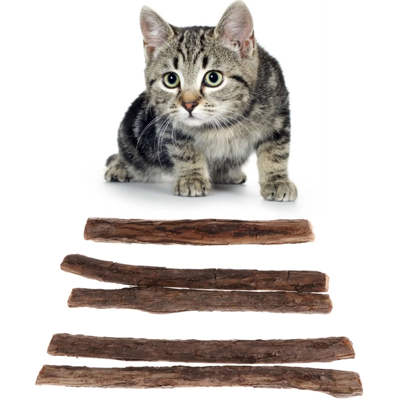 Молярная зубная паста OOTDTY чистящие зубы для кошек чистые натуральные зубные