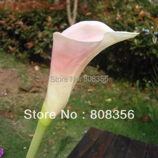 20 шт. настоящие натуральные цветы из искусственной кожи Calla Lily Alocasia Callas 23 62 &quotдля