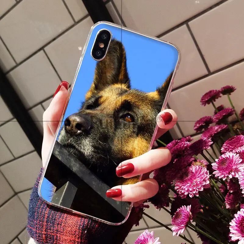 Мягкий чехол для мобильного телефона Ruicaica с рисунком немецкой овчарки Apple iPhone 8 7 6