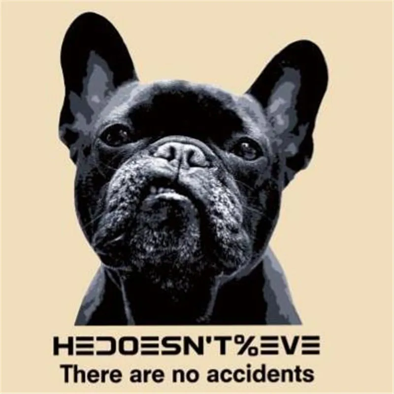 Футболка с термопереводной печатью 25 см бульдог черный ПВХ нашивка для одежды