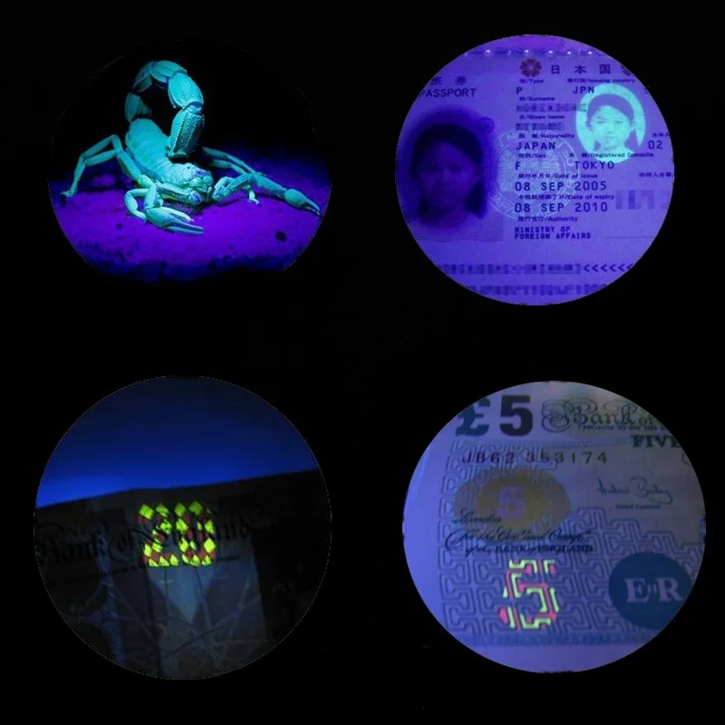 

AloneFire G700 Zoom LED UV Light Flashlight 365nm Torch lamp UV Curing Travel safety UV Scorpion Paper money Detection AAA 18650