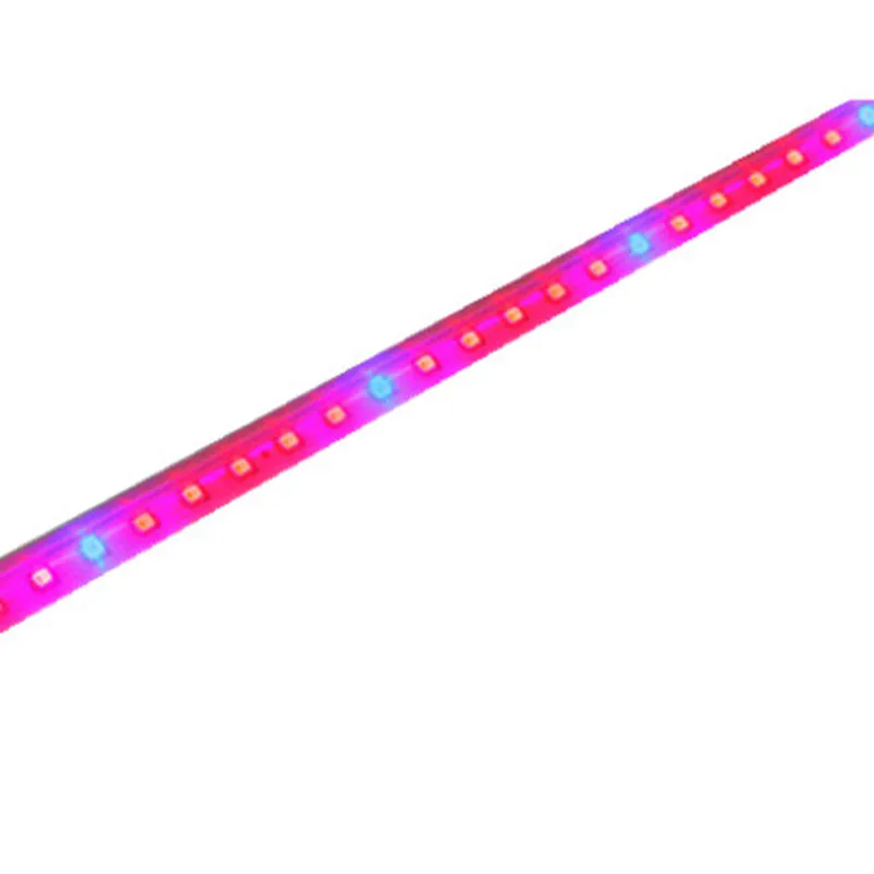 10 шт. T5 Led для завода светать светильник рассада сочные цветущие растения