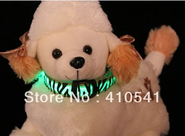 Новое поступление бесплатная доставка светодиодный нейлоновый ошейник Chaplains Zebra