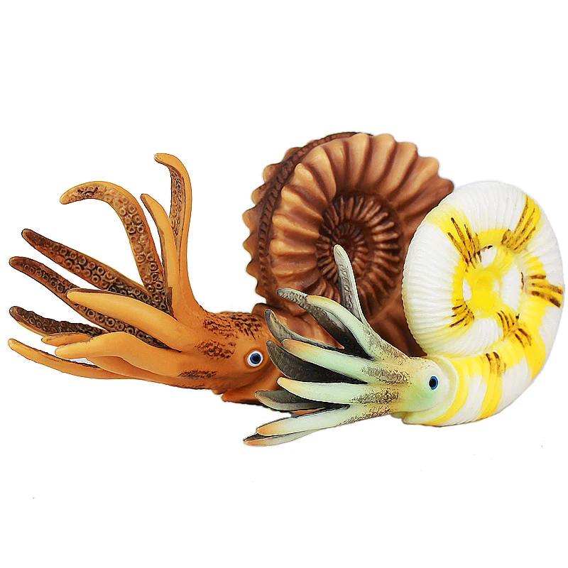 Модель игрушечного животного Wiben Sea Life игрушка Nautilus Фигурки игрушек обучающие и