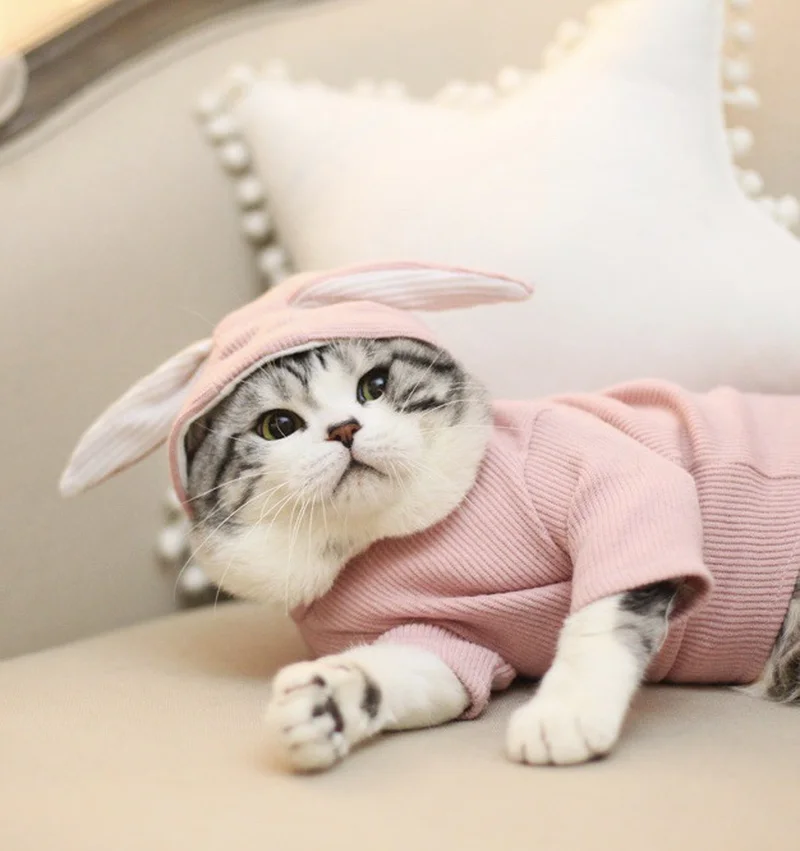 

Cat's clothes Body fitting A pug dog Clothes and pets Dog hoodie Fat dog clothes Rabbit ears Sweater