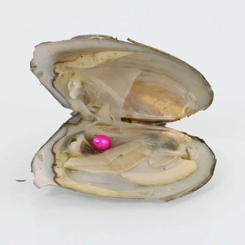 Муссельная раковина пресноводные жемчужины Oyster Wish 20 видов цветов 7 8 мм одна