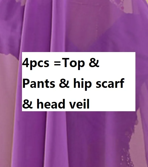purple4pcs Женские индийские сари, одежда для танца живота, цены для взрослых, синие платья для выступлений, восточные костюмы, женский костюм для танцев - Цвет: purple4pcs