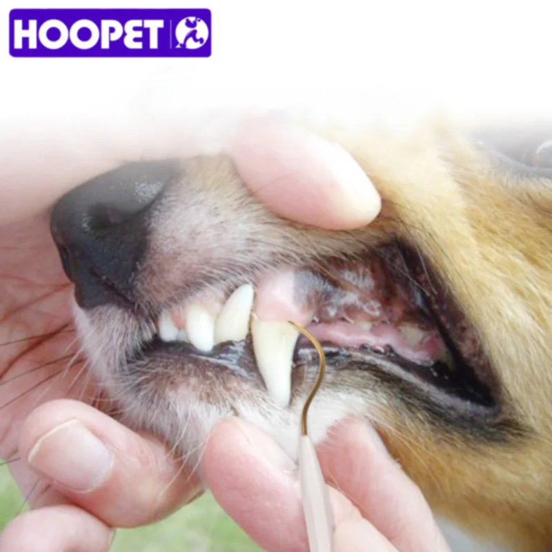 HOOPET для домашней собаки, двойные зубные скребок собака очищает зубы и окрашивает зубчатые чистящие средства