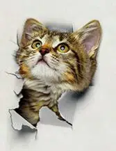 1 шт. милый 3D котенок Туалет Наклейка кошка на стену кухня холодильник наклейка s для гостиной спальни домашний декор Прямая - Цвет: Цвет: желтый