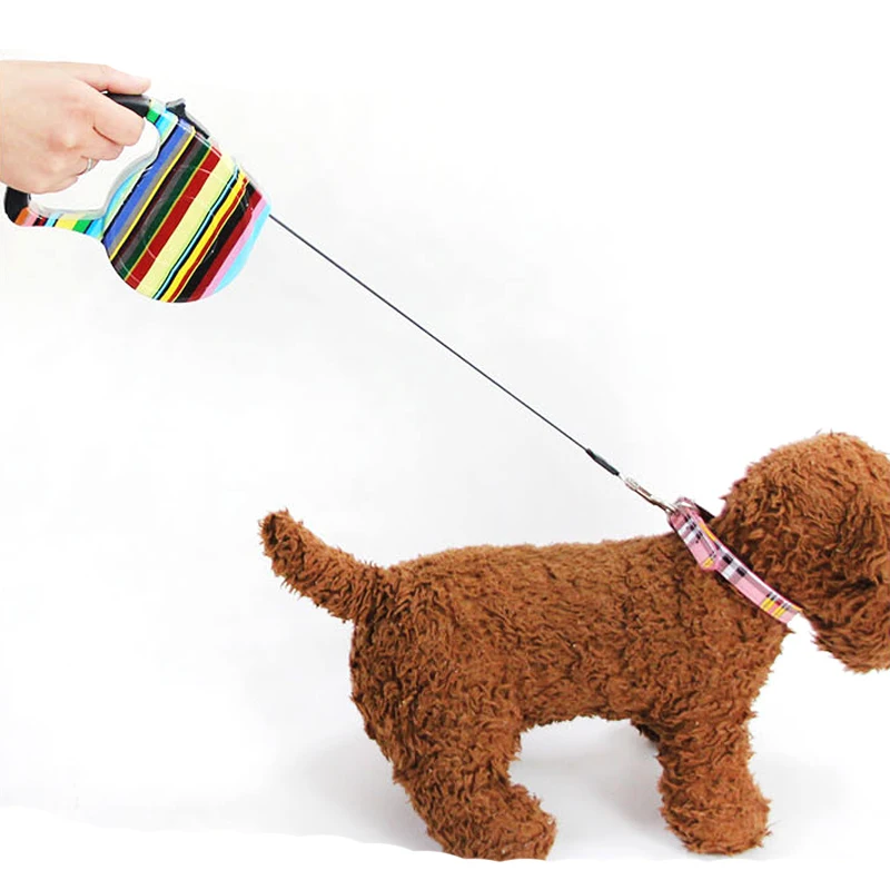 Поводок для собак и кошек складной с фиолетовой бабочкой|pet leash lead|retractable pet leadtraining