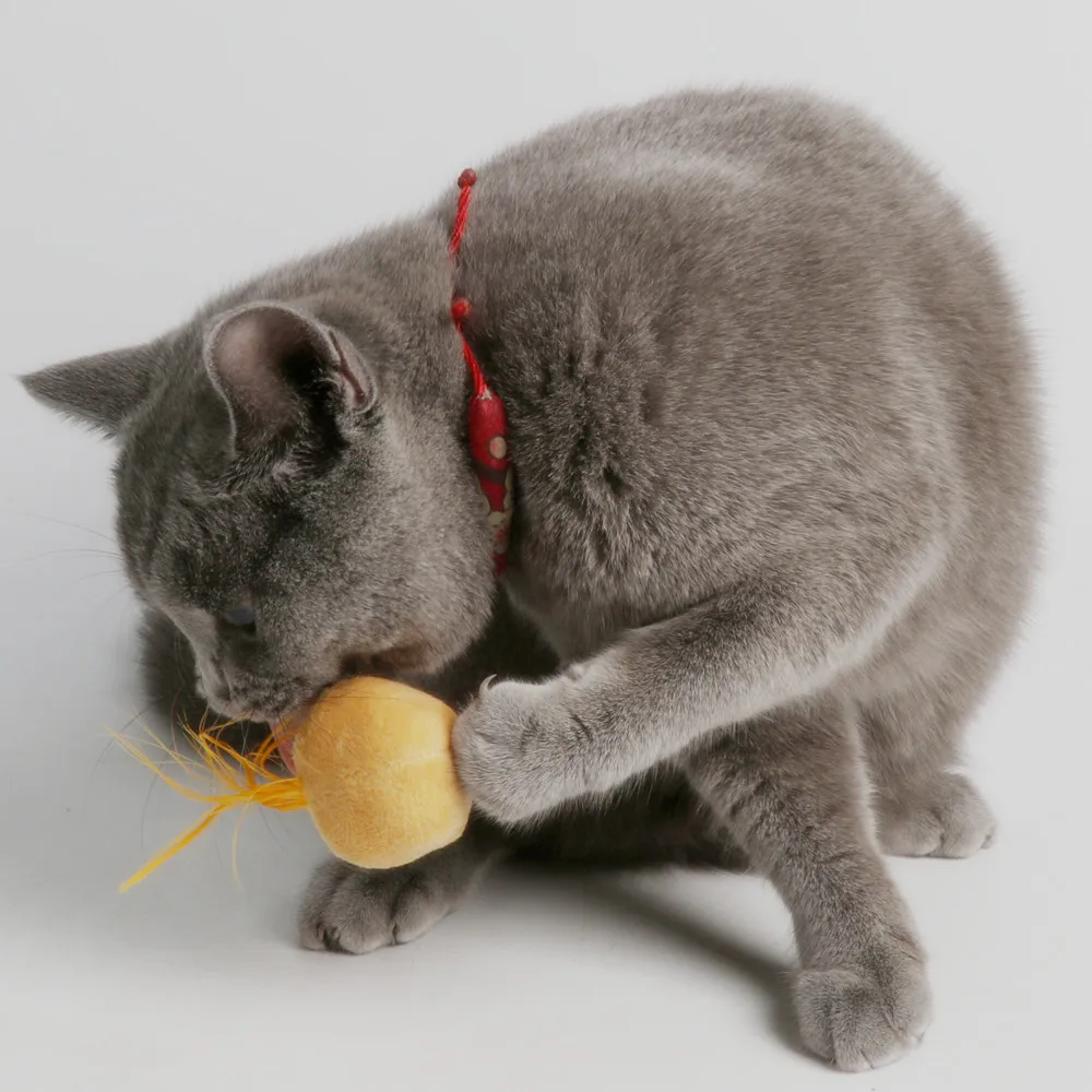 

Catnip Cat Toys Sound Ball Hair Ring Bell Teaser Pet Toys For Cat Supplies Kitten Interactive Fun Dog Feather Pet Cat Toy Funny