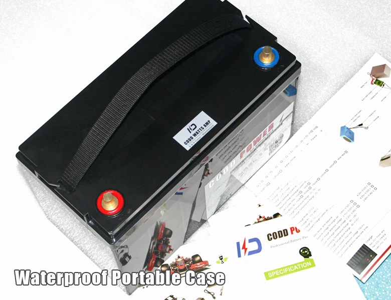12 В литий ионная батарея Водонепроницаемая IP67 коробка 100 Ач батарея|12v 100ah lithium