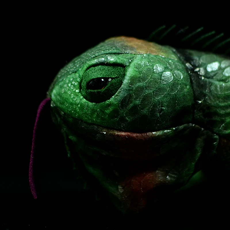66 см зеленая ящерица Lguana настоящая плюшевая игрушка кукла имитация рептилии Саурия животное мягкая кукла на день рождения Рождественский подарок для мальчика